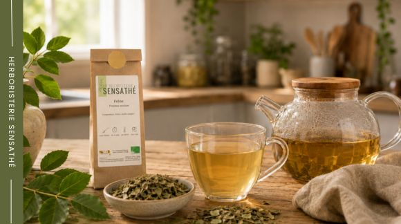 Préparation d'une tisane de frêne séché, traditionnellement utilisée dans le cadre d'une approche naturelle de l'hyperuricémie asymptomatique - Herboristerie Sensathé